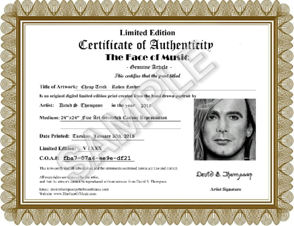 Cheap Trick - Robin Zander