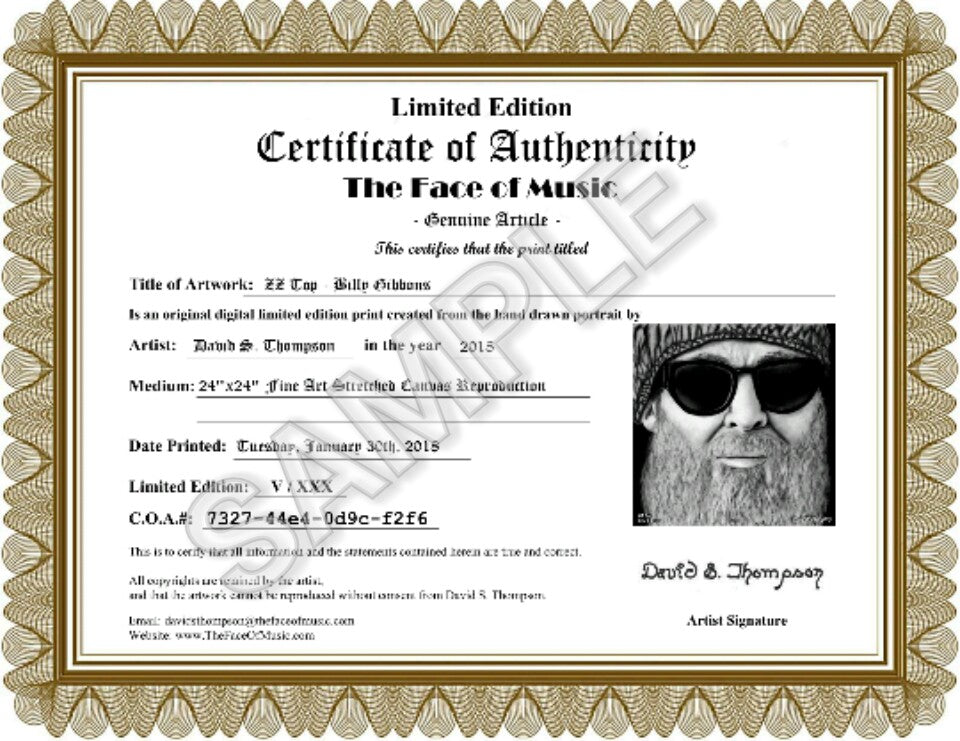 ZZ Top - Billy Gibbons