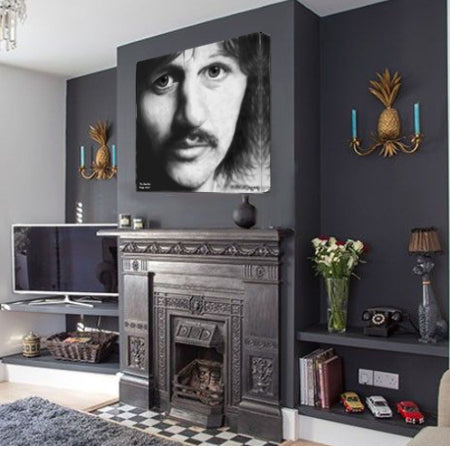 Beatles,The - Ringo Starr