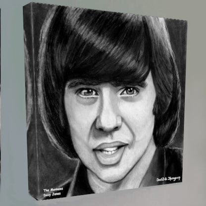 Monkees,The - Davy Jones