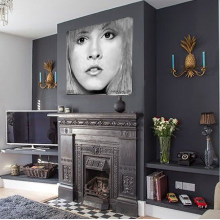 Fleetwood Mac - Stevie Nicks