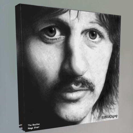 Beatles,The - Ringo Starr
