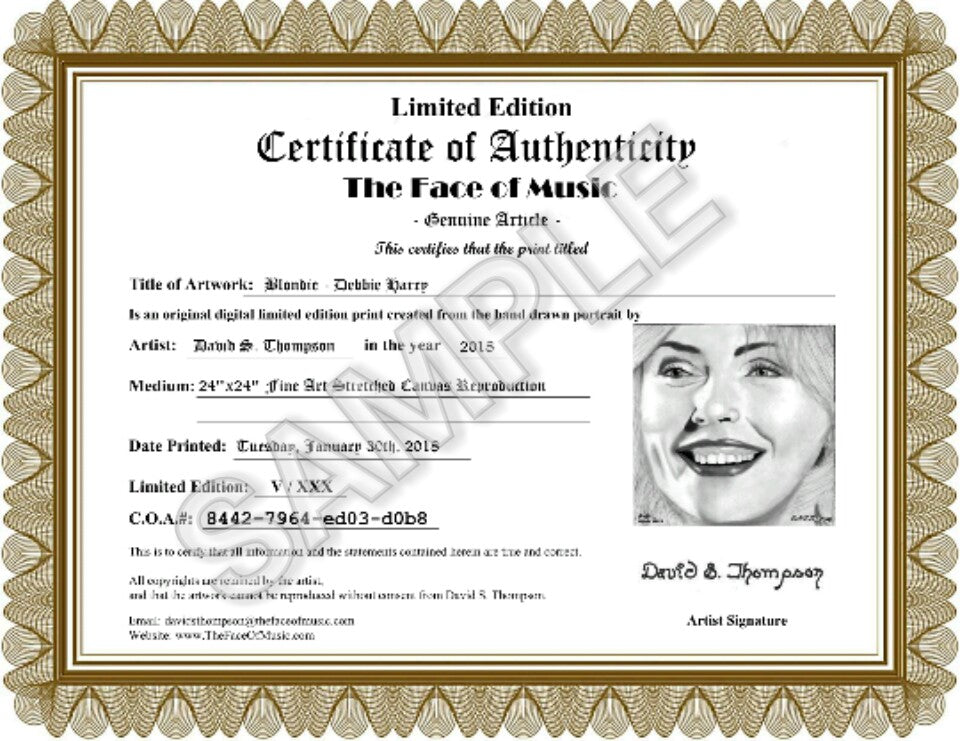 Blondie - Debbie Harry