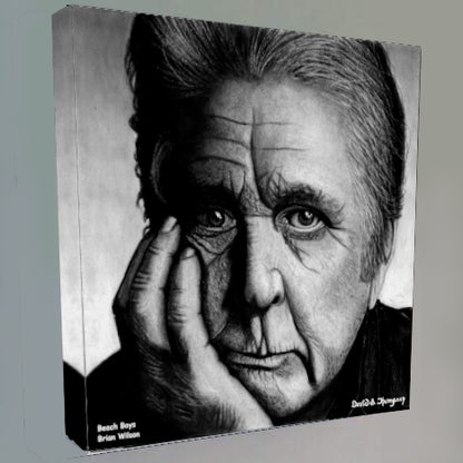 Beach Boys - Brian Wilson