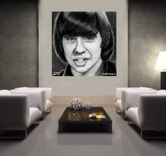 Monkees,The - Davy Jones