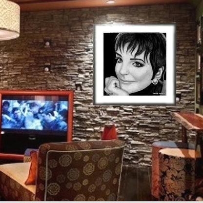 Liza Minnelli