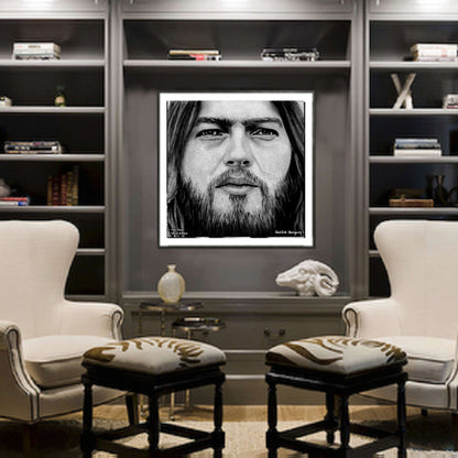 Pink Floyd - David Gilmour